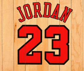 开云体育入口-从勒沃库森到世界之巅，厄德高如何在排名争夺战中接管比赛