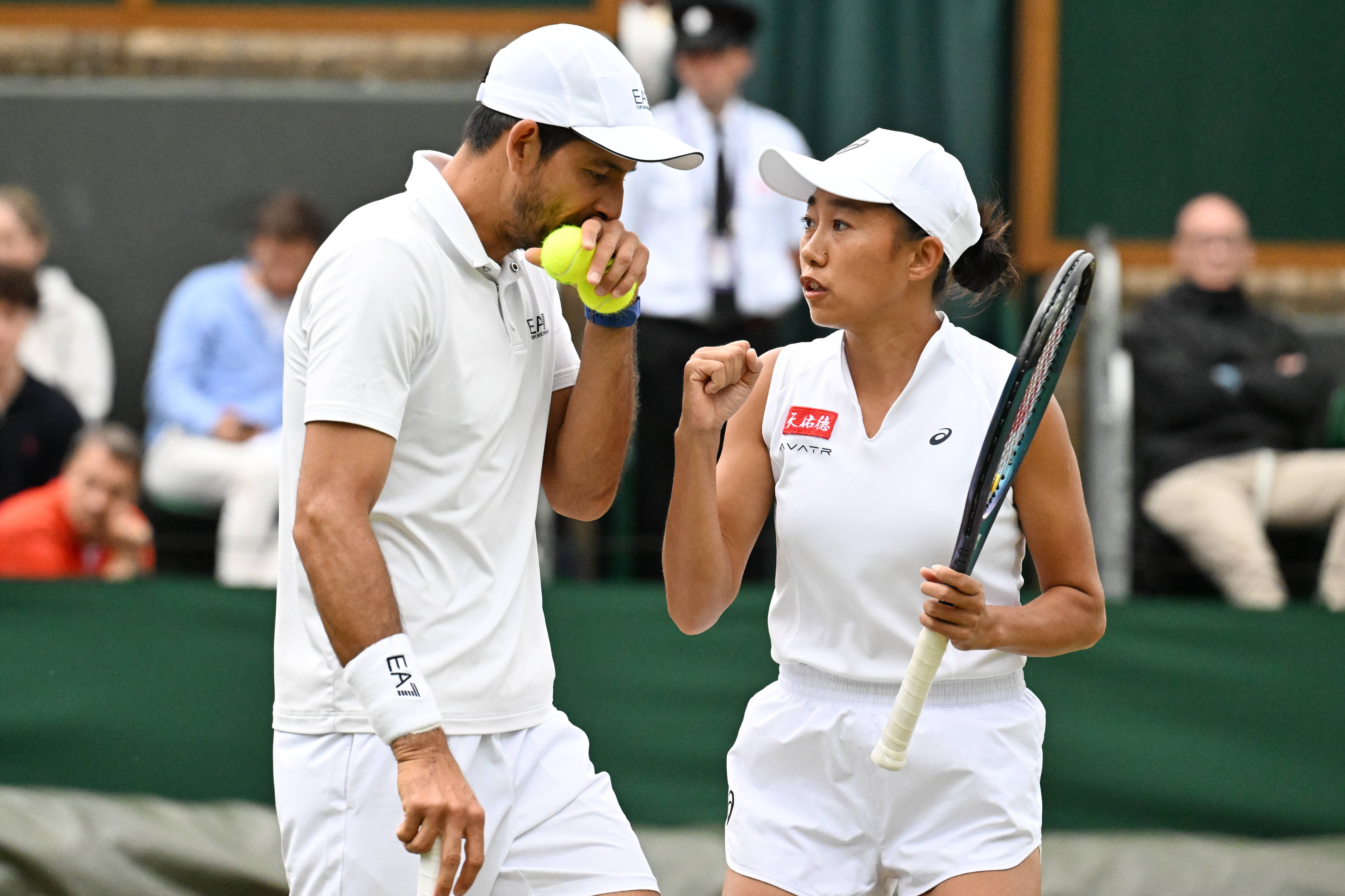 温网绝杀蒙特卡洛大师赛，穆雷状态火热