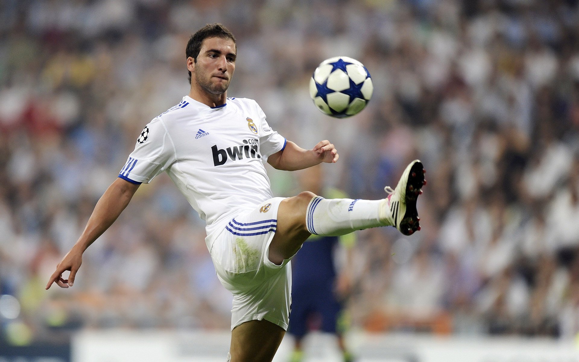 红土上的宣言，德约科维奇蒙特卡洛横扫温网，扛起塞尔维亚网球荣光